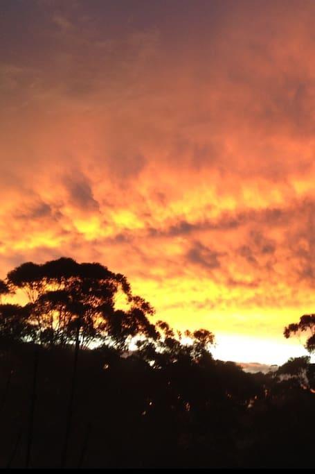 Avoca Beach And Bush Exteriör bild